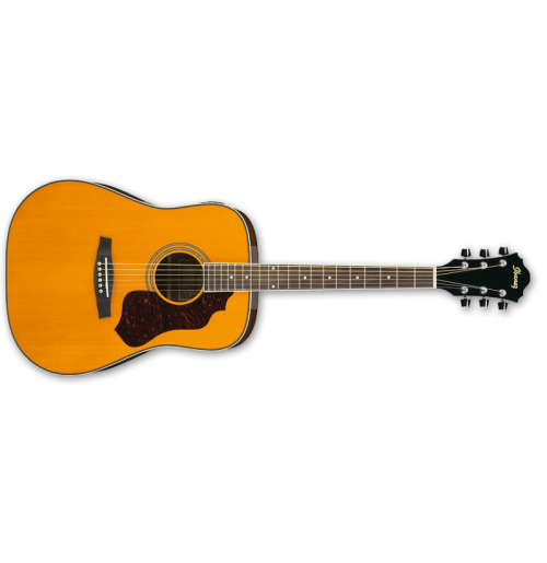IBANEZ SGT120E ATN akustična kitara